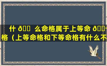 什 🐠 么命格属于上等命 🐬 格（上等命格和下等命格有什么不同）